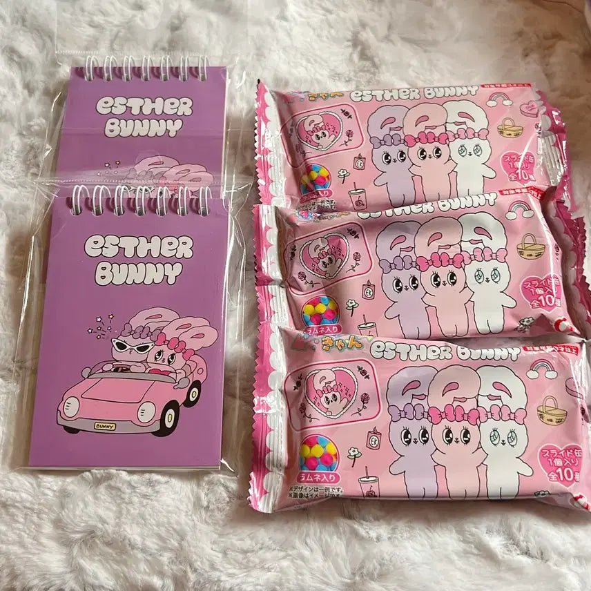 [BUNJANG] Esther Bunny Tin Case / 에스더버니 수첩 틴케이스