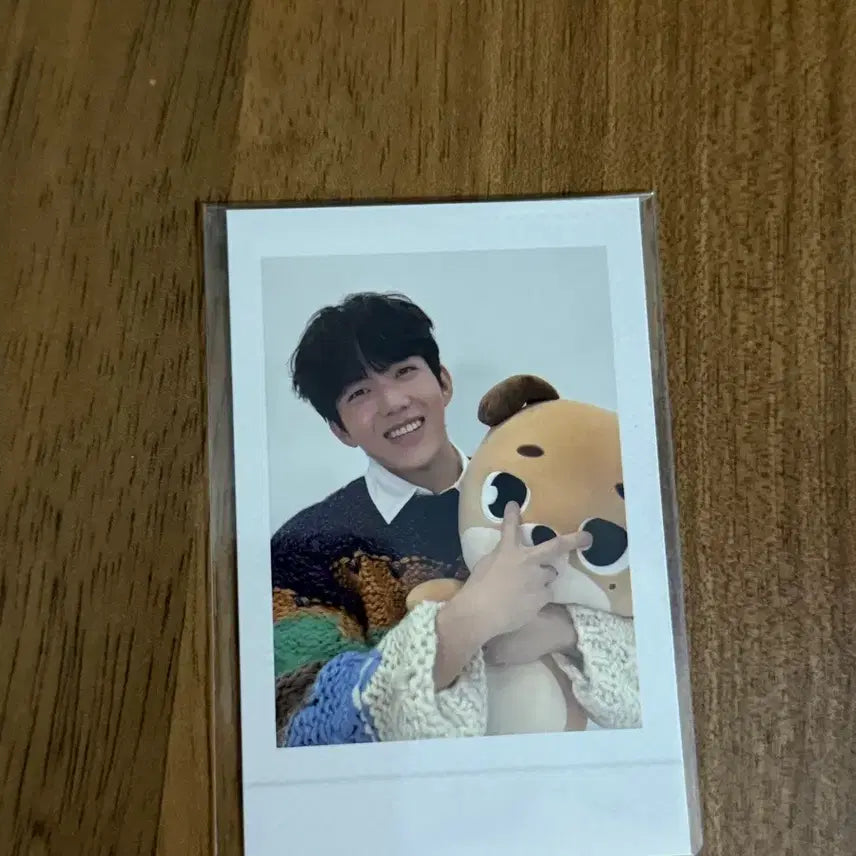 데이식스 도운 자이언트 데니멀즈 돈  폴라로이드