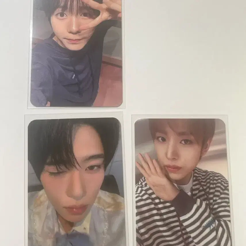 [BUNJANG] YOUniverse Yuushi, Ryo, Sion POB Bundle Set / 예사 컬러영통 미공포 유우시,료 / 시온 컬러 예사 (일괄)