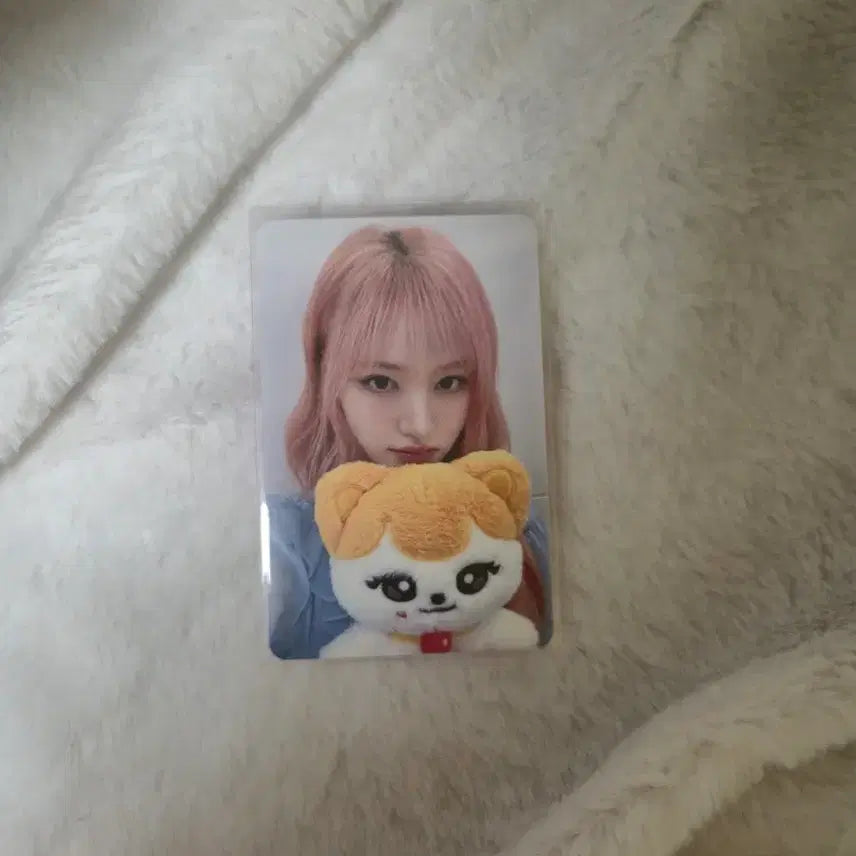 [BUNJANG] IVE Mini Album Cheese Photocard Bundle Set / 아이브 미니브 치즈 포카포함 정가 이하 판매합니다.