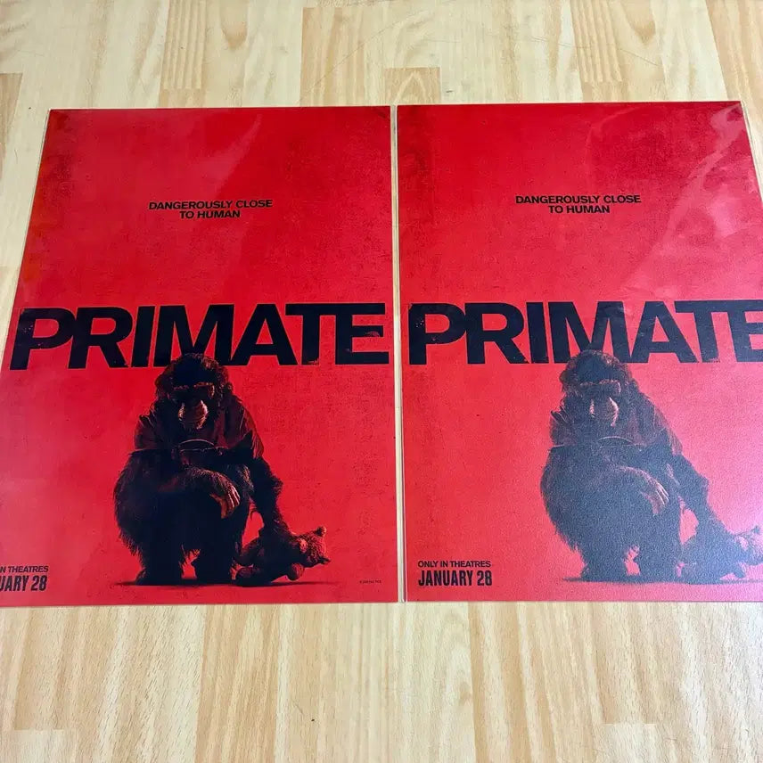 [BUNJANG] Primate Bloody Poster A3 Movie Goods / 당일발송)프라이메이트 블러디 포스터 A3 롯데시네마1주차영화특전굿즈롯시
