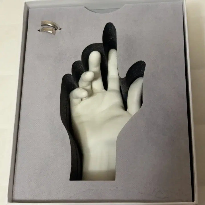 [BUNJANG] Taemin Object Goods Set / 가격안내림) 태민 손 오브제 굿즈