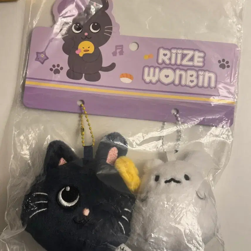 [SOLD OUT] 라이즈 상하이 원더랜드 팝업 원빈 토냥덕 키링