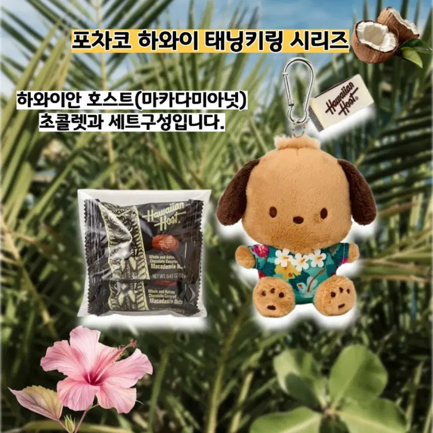 [BUNJANG] Sanrio Hawaii Tanning Character Keyring + Chocolate Set / 일본정품)산리오 하와이 태닝 키링 + 초콜릿 세트(바로배송)