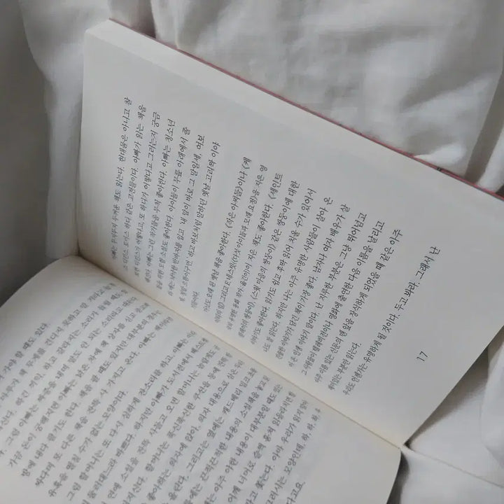 [BUNJANG] Sigong Junior Twins Ruby and Garnet Novel / 시공주니어 소설 쌍둥이 루비와 가닛