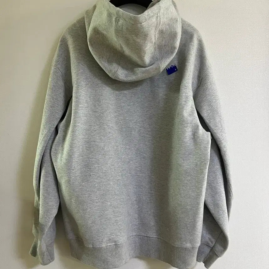[BUNJANG] ZARA x ADERERROR Hoodie (S-M) / 자라 아더에러 후드 s-m