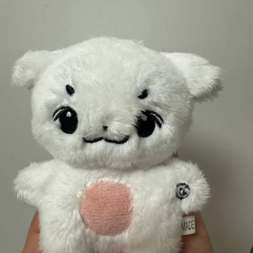 [BUNJANG] LUCY Shin Yechan Chani-jju Doll / 루시 신예찬 인형 차니쮸 양도합니다