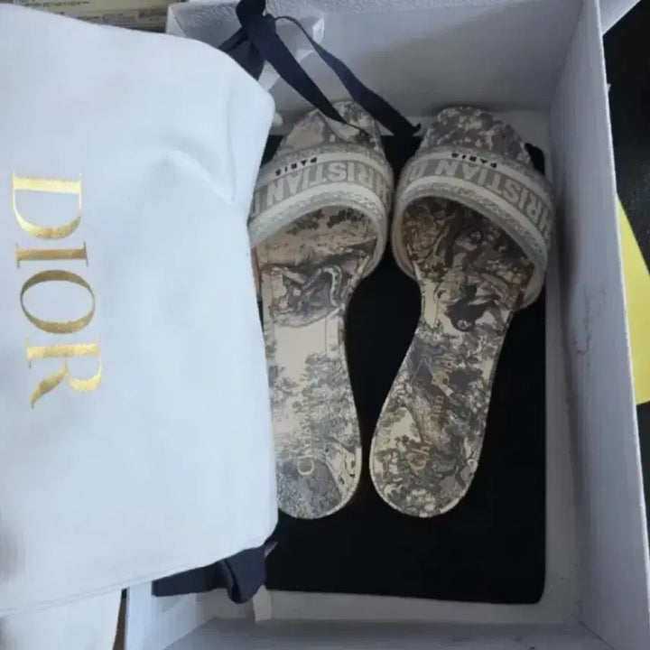 [BUNJANG] Dior Dway Mule Heel Toile de Jouy Size 37 / 디올 Dway 뮬 힐 Toile de Jouy 37 사이즈