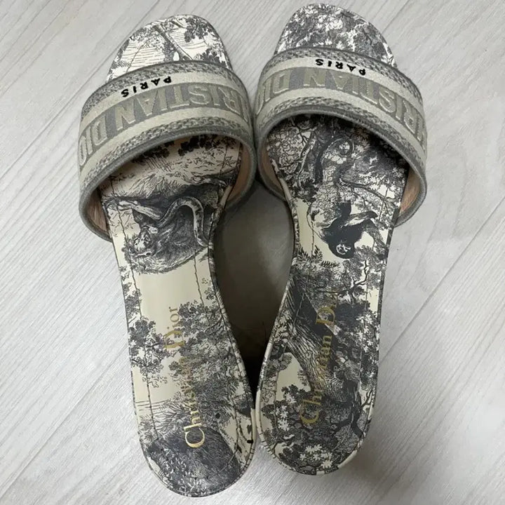 [BUNJANG] Dior Dway Mule Heel Toile de Jouy Size 37 / 디올 Dway 뮬 힐 Toile de Jouy 37 사이즈