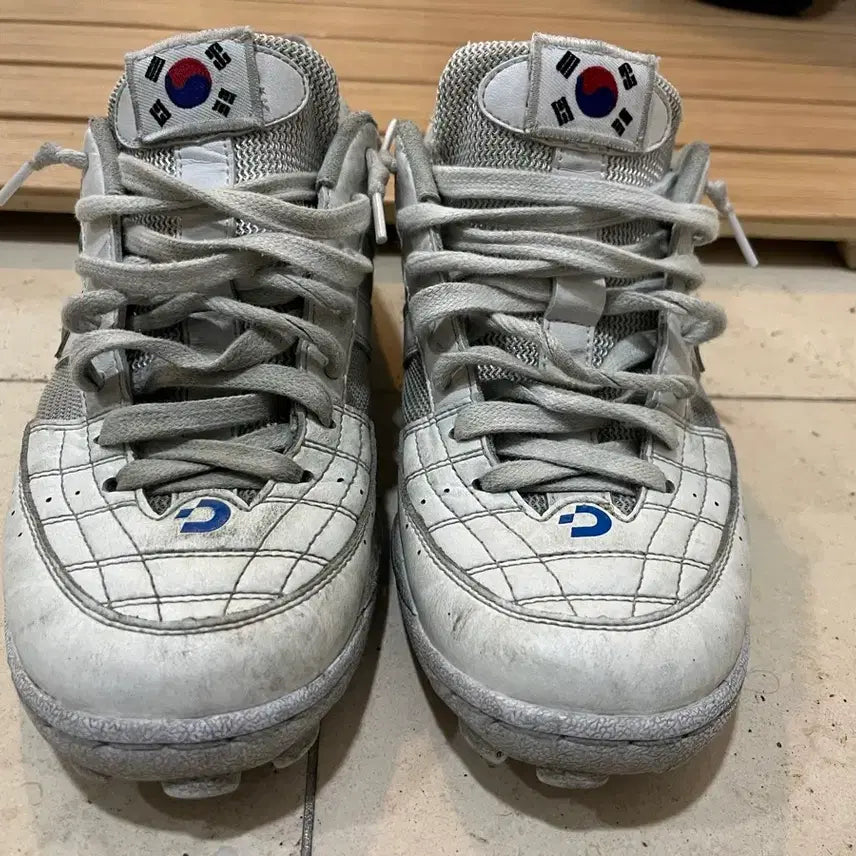 [BUNJANG] Desporte Soccer Cleats / 데스포르치 260