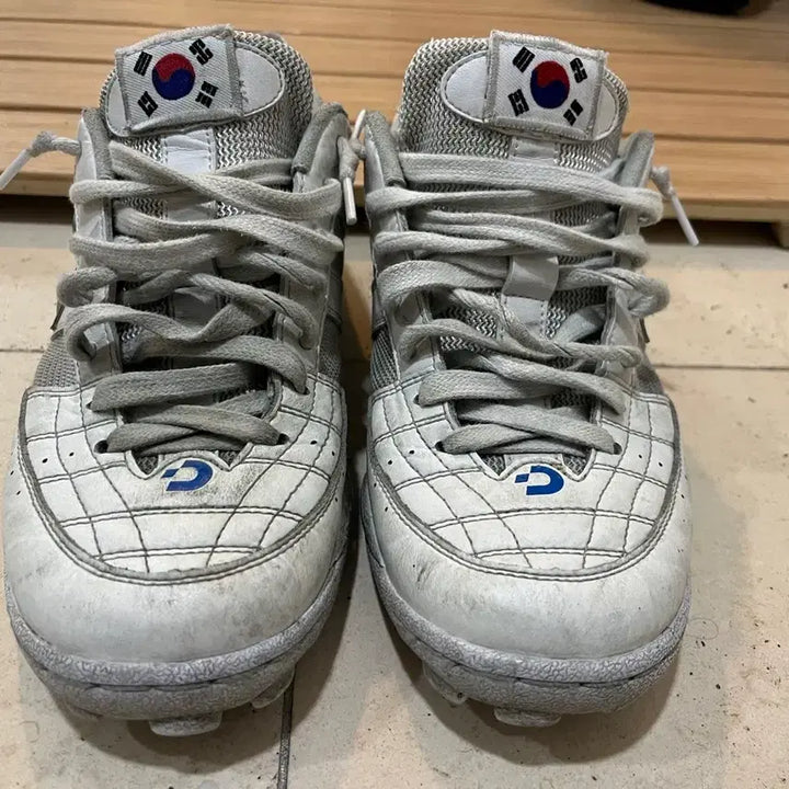 [BUNJANG] Desporte Soccer Cleats / 데스포르치 260