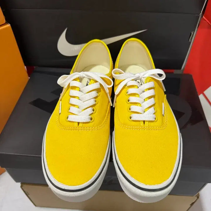 [SOLD OUT] 255)반스 어센틱 나일론