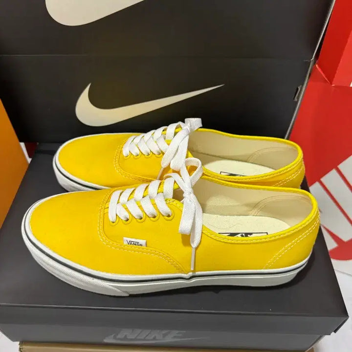[SOLD OUT] 255)반스 어센틱 나일론