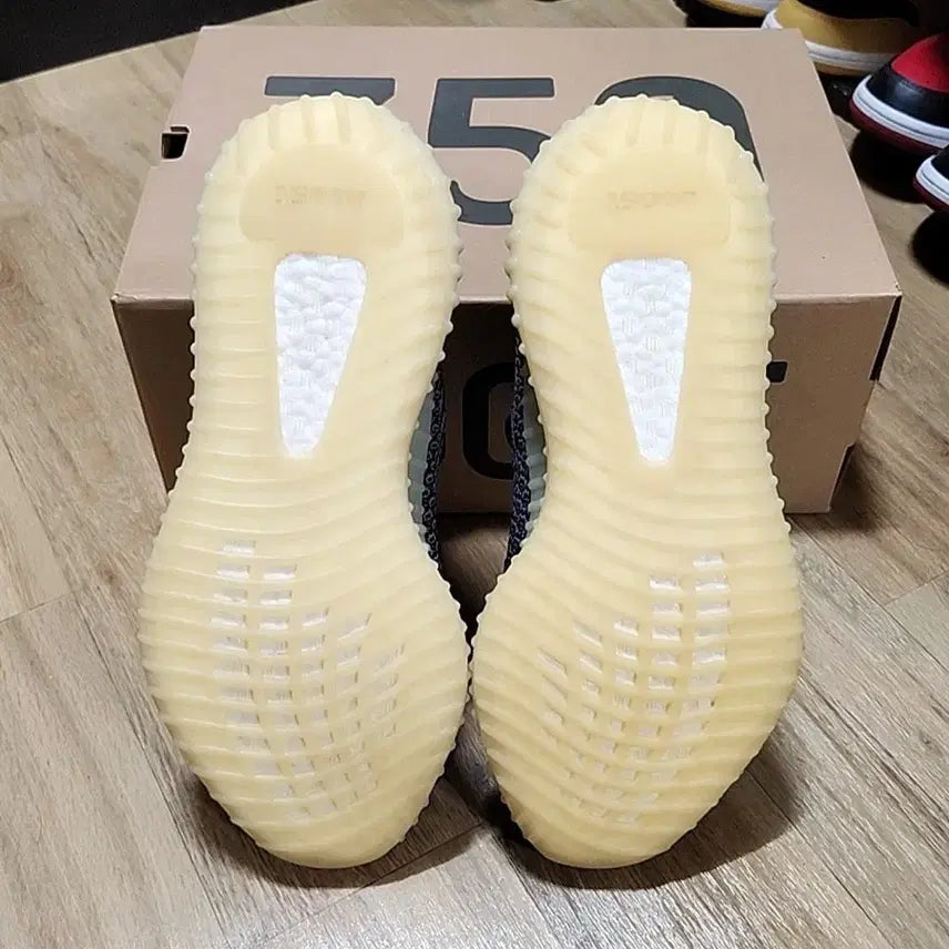 [SOLD OUT] 아디다스 이지부스트 270 카본