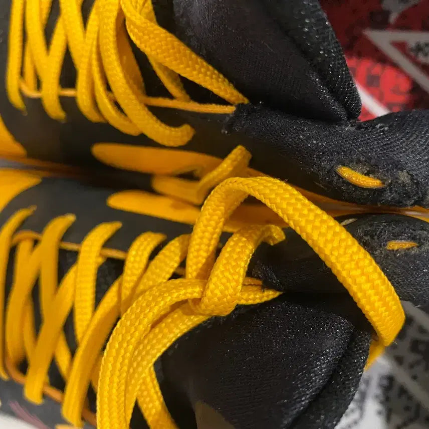 [BUNJANG] Kobe 5 Bruce Lee Shoes (Size 275) / 코비5 브루스리 275