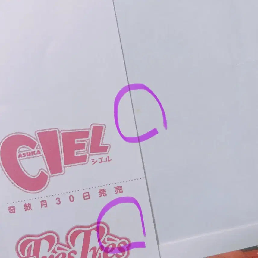 [BUNJANG] Junjo Romantica Bundle Set Book Cover and Storage Box / [일괄]순정로맨티카 세계제일의 첫사랑 굿즈 3종 일괄 북커버 수납박스