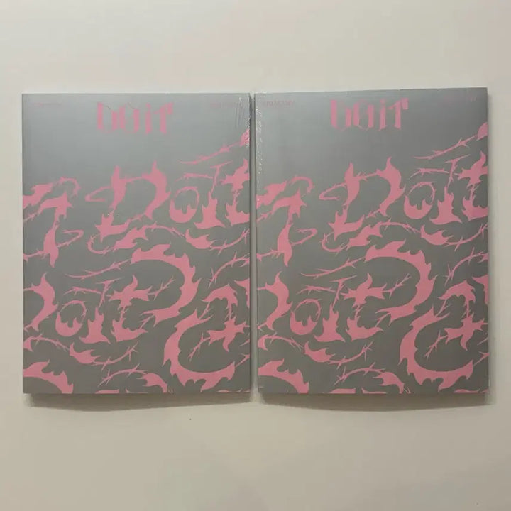 [BUNJANG] Stray Kids Do It Album - IT Version / 미개봉) 스트레이키즈 두잇 앨범 - IT 버전