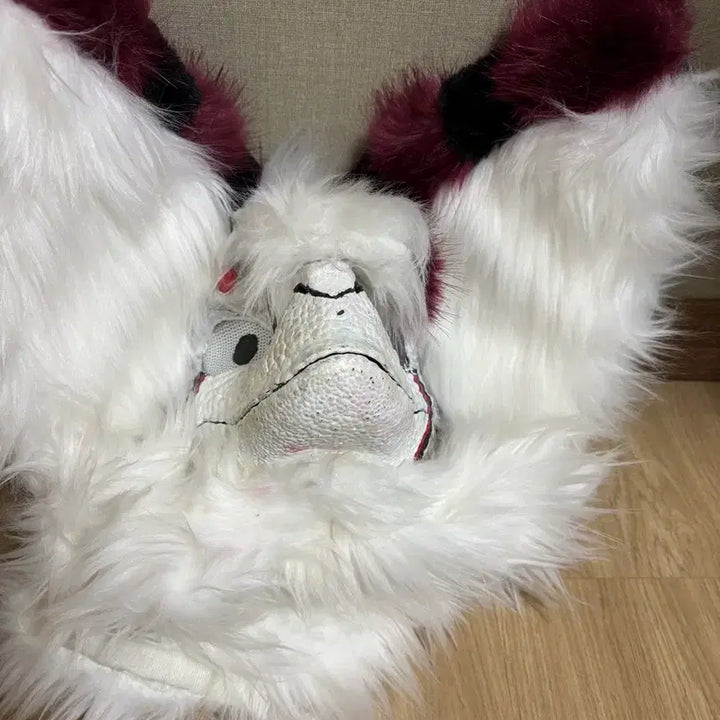[BUNJANG] Fursuit ZED Cosplay Costume / 퍼슈트 판매 (급전이라 싸게 팝니다)