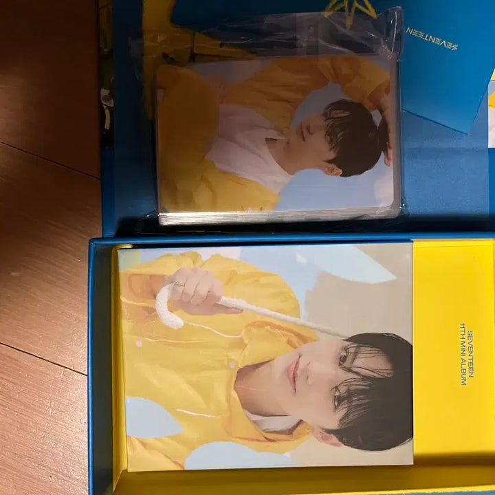 세븐틴 탈덕 처분