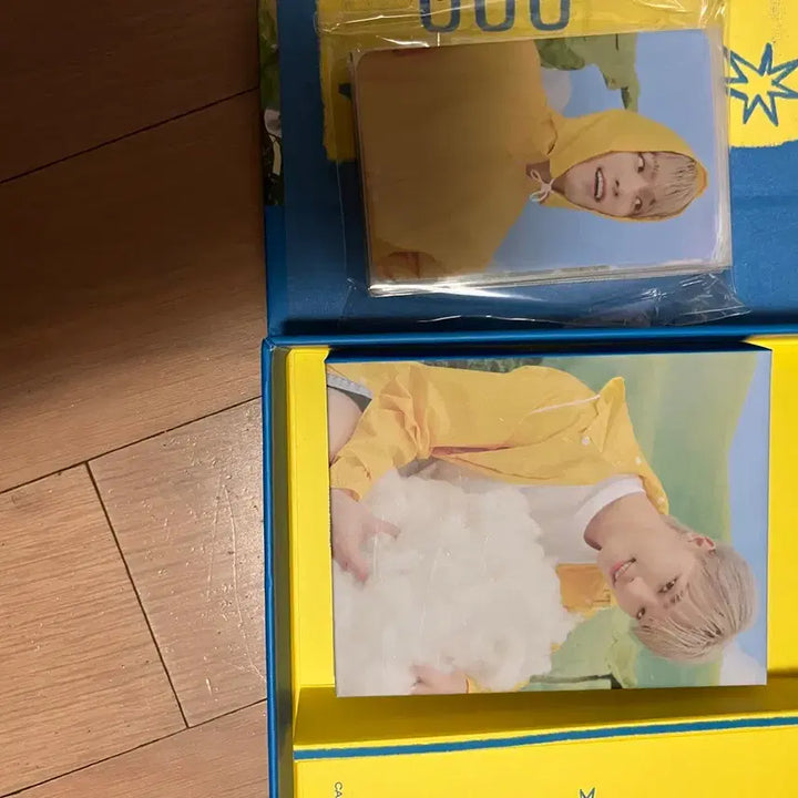 세븐틴 탈덕 처분