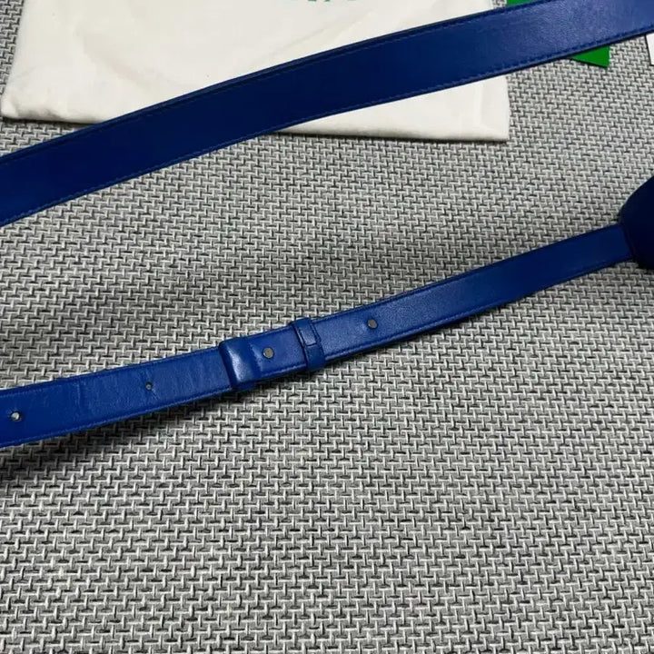 [BUNJANG] Bottega Veneta Cassette Bag - Blue / 보테가 베네타 카세트백 블루