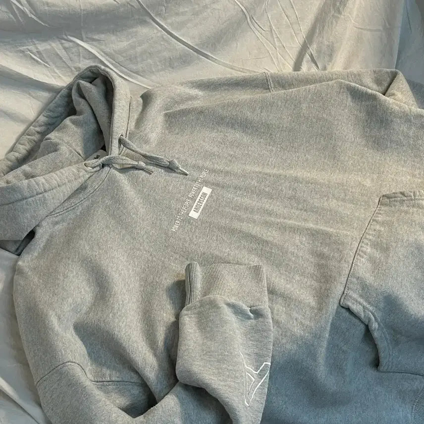 [BUNJANG] Andersson Bell Big Logo Hoodie / 엔더슨벨 빅로고 그레이 후드티