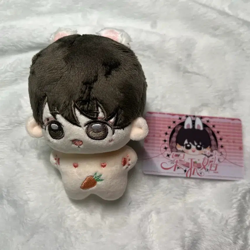 방탄 방탄소년단 정국 전정국 10cm 인형 솜인형 양도 토끼