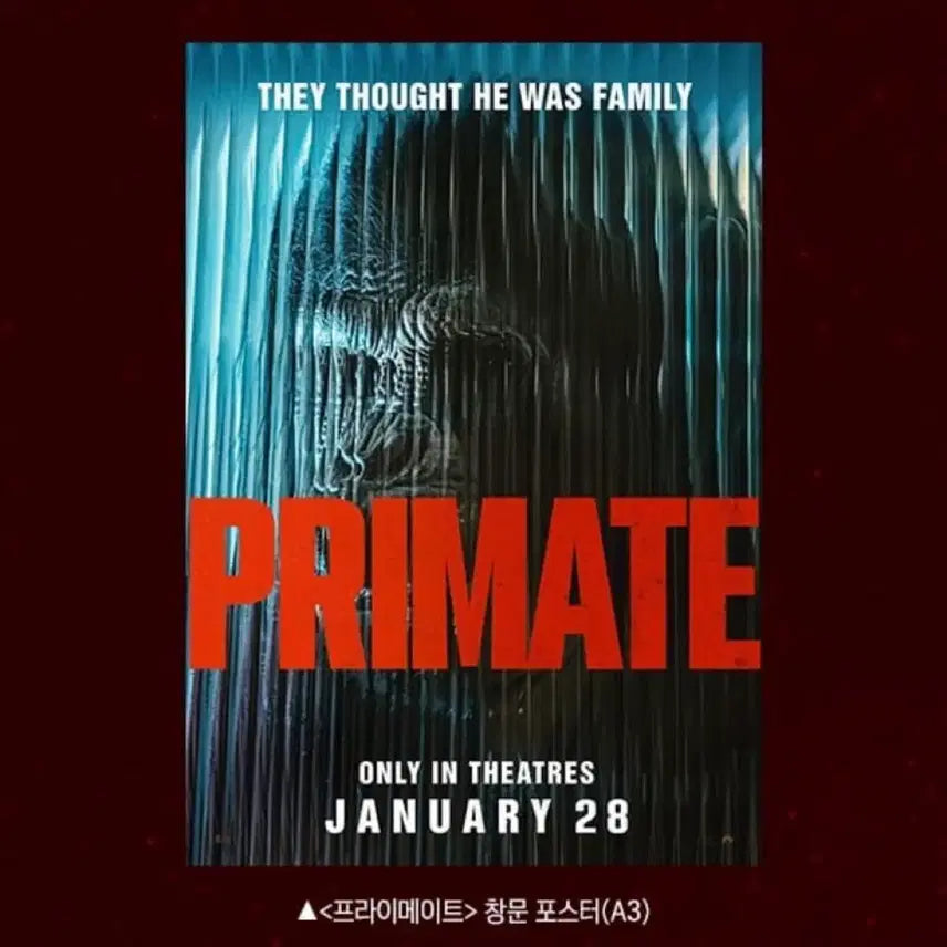 [BUNJANG] Primate Window Poster / [영화 굿즈] 프라이메이트 창문 포스터