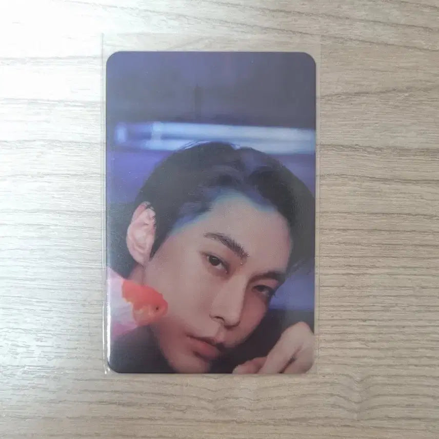 [BUNJANG] NCT Doyoung Photocard / Fact Check nct 도영 포카