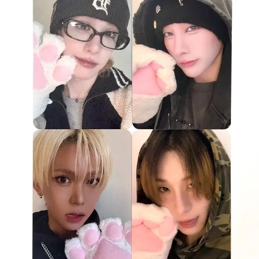 Xlov 엑스러브 냥젤리 포카 poca pc set 포토카드