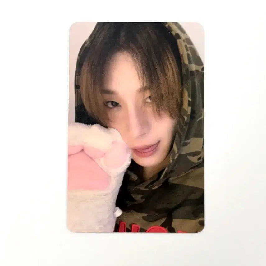 Xlov 엑스러브 haru 하루 냥젤리 포카 poca pc