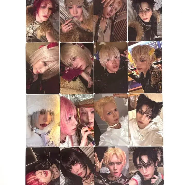 [BUNJANG] X:IN All Set Photocard / 엑스러브 xlov 앨범 포카 poca pc 16 all set