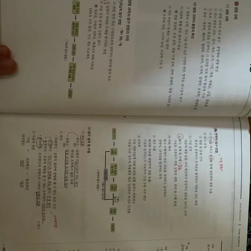 [BUNJANG] Baekho 2026 Life Science 1 (4-Book Set) / 백호 2026 생명과학1 (4권세트) 거의 새거