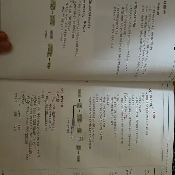 [BUNJANG] Baekho 2026 Life Science 1 (4-Book Set) / 백호 2026 생명과학1 (4권세트) 거의 새거