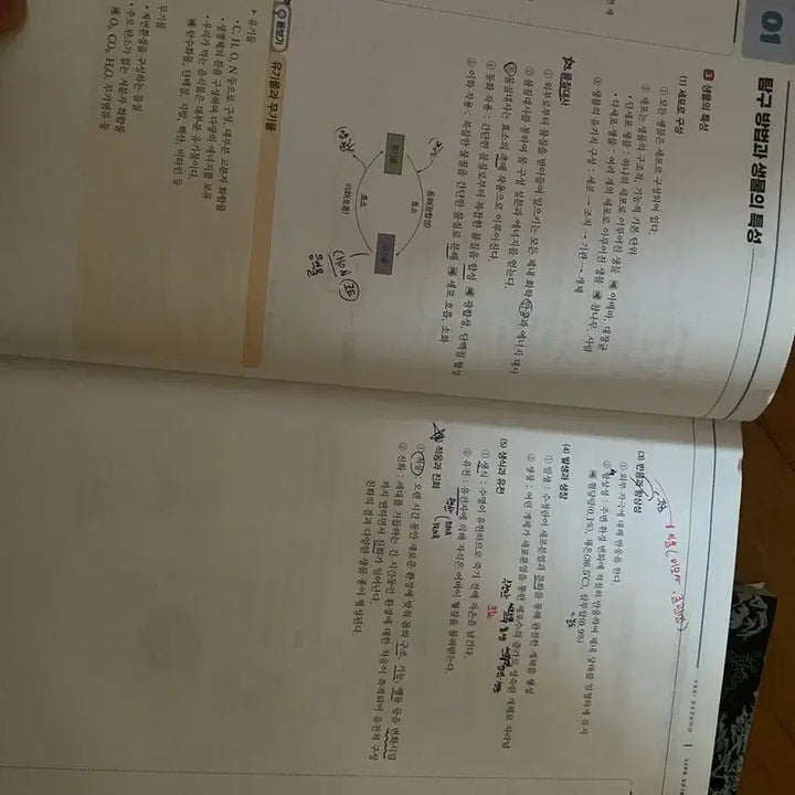 [BUNJANG] Baekho 2026 Life Science 1 (4-Book Set) / 백호 2026 생명과학1 (4권세트) 거의 새거