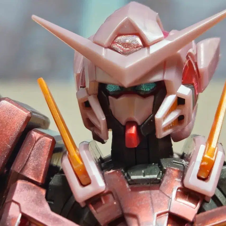 [BUNJANG] MG Exia Trans-Am Gundam Model Kit / mg 엑시아 트란잠 건담