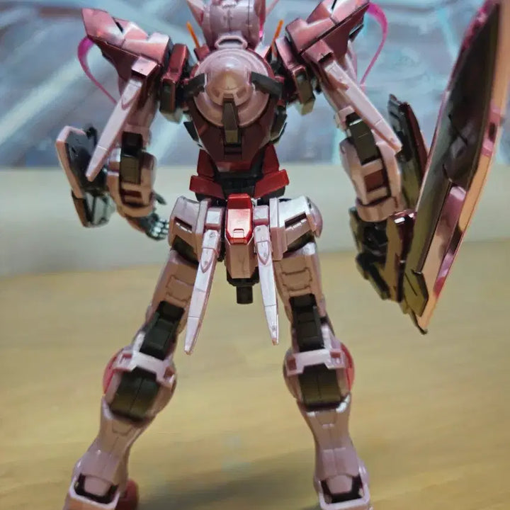 [BUNJANG] MG Exia Trans-Am Gundam Model Kit / mg 엑시아 트란잠 건담