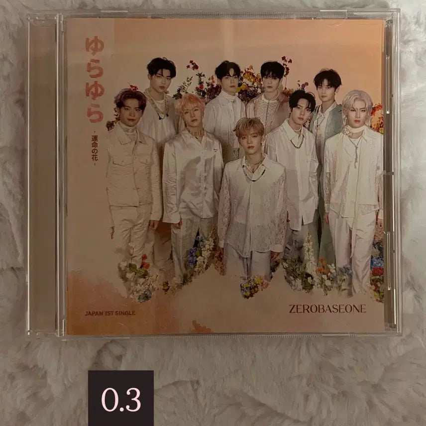 [BUNJANG] ZEROBASEONE Concert Ticket / 제로베이스원 제베원 개봉앨범 콘서트 막콘 티켓 포카