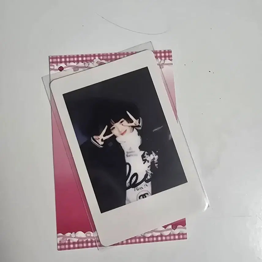 아이브 레이 일레븐 이즈위 폴라