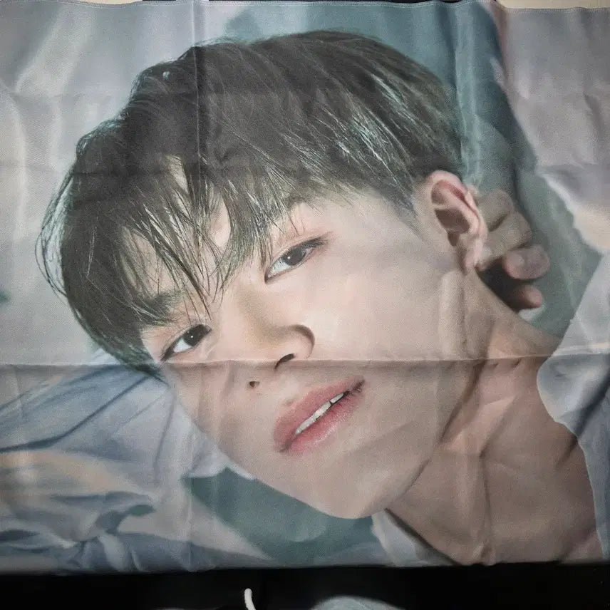 [BUNJANG] NCT Dream Jeno Starlight Dream Fabric Poster / 엔시티드림 제노 스테리데이드림 패브릭 포스터 양도합니다 nct