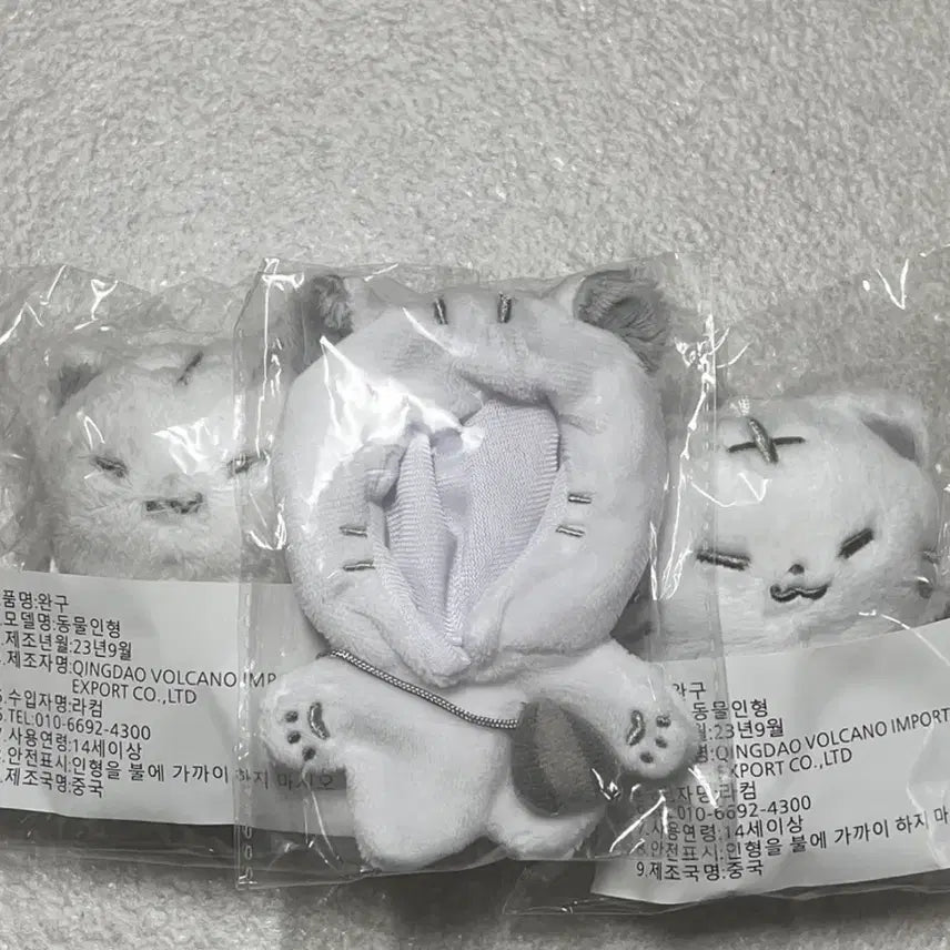 [BUNJANG] Bundle Set Hotji Photocard / 일괄3.2) 호찌 팔아요+덤