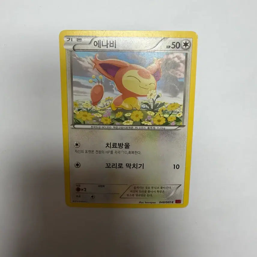[BUNJANG] 에나비 포켓몬카드 / 에나비 포켓몬카드