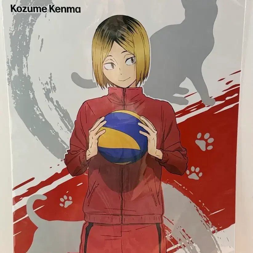 [BUNJANG] Haikyu 10th Anniversary Kenma Poster / 하이큐 10주년 켄마 포스터