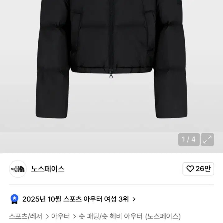 [BUNJANG] The North Face Novelty Nuptse Down Padded Jacket / (실착1회) 노스페이스 노벨티 눕시 다운 패딩