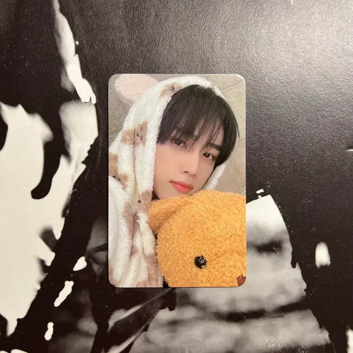 [BUNJANG] The Boyz Sunwoo Hello Live Photocard / 더보이즈 선우 헬로라이브 곰돌이 미공포 양도 포카 앨범 비공굿 현재 주연