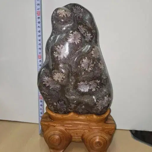 [BUNJANG] Chungsong Pink Chrysanthemum Stone / 청송 분홍 국화석 꽃돌