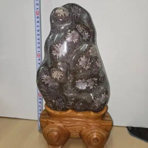 [BUNJANG] Chungsong Pink Chrysanthemum Stone / 청송 분홍 국화석 꽃돌