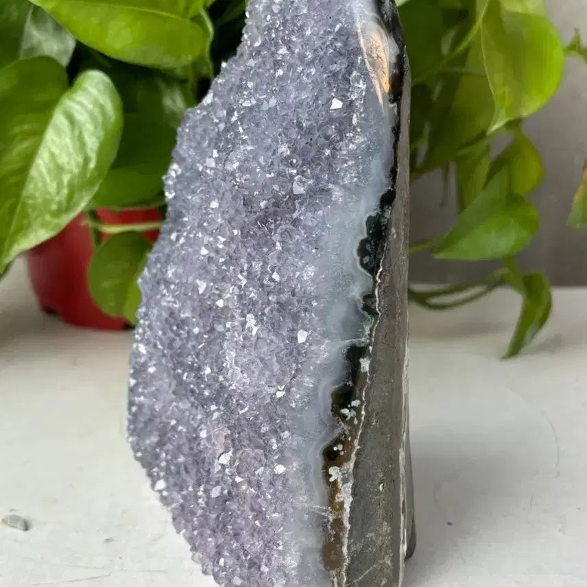 [BUNJANG] Amethyst Druzy Raw Stone 1.8kg / 자수정 드루지 원석 1. 8kg