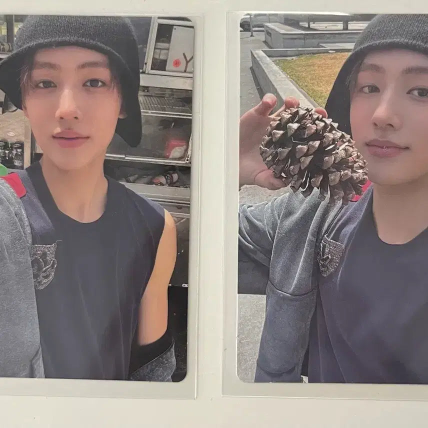 택포)코르티스 성현 엄성현 포카 일괄 양도 판매 마틴제임스주훈건호