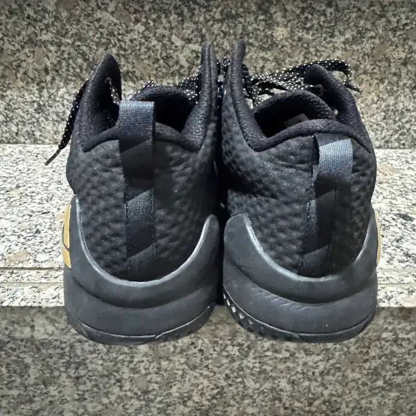[BUNJANG] PEAK Lou Williams 270 NBA Sneakers / 피크 PEAK 루 윌리엄스 270 사이즈 NBA